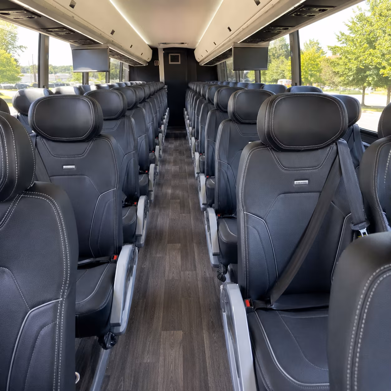 charter buses for toledo zoo field trips and wildlife education